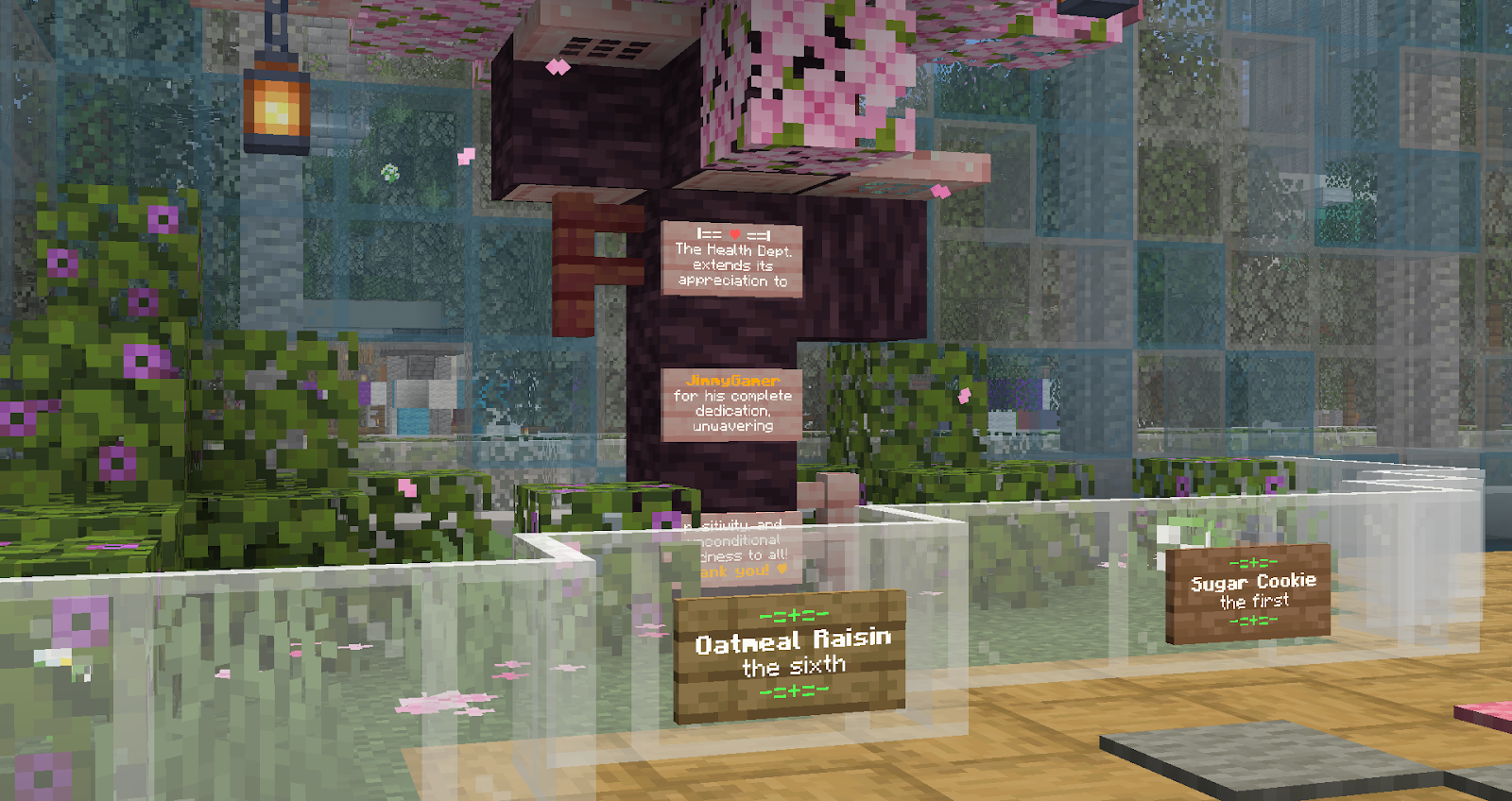 Plaque for JimmyGamer0911 Placed At Reveille Hospital